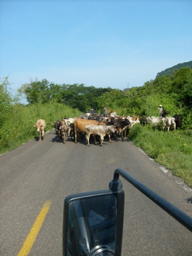 Mexican traffic jam