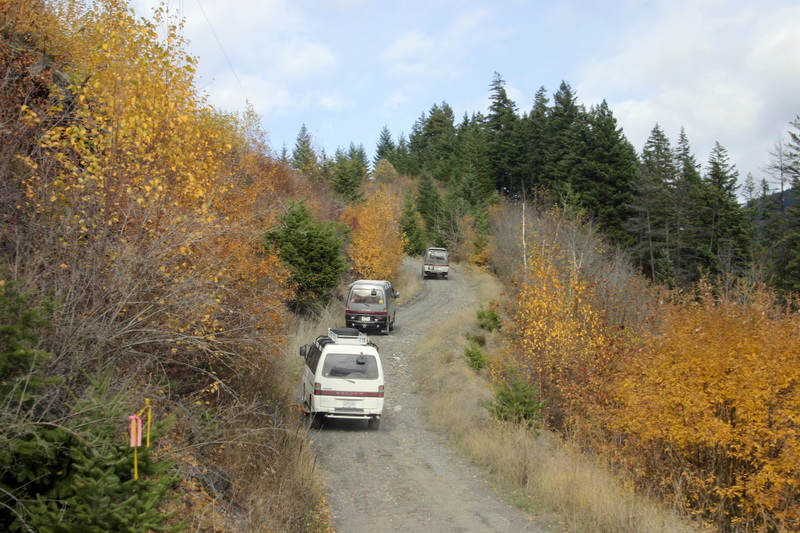 IMG_7095_resize.JPG