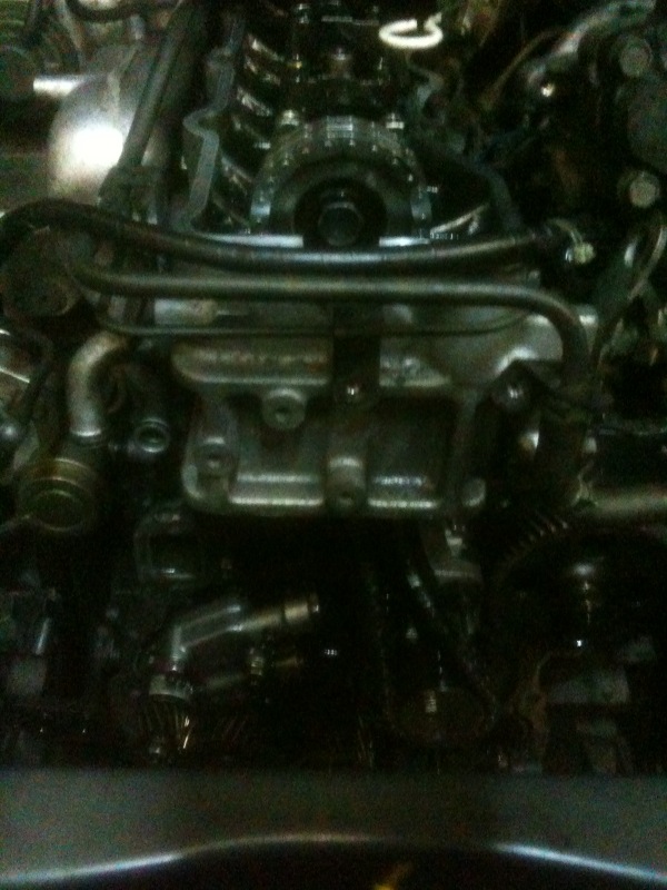 New chain/guides/tensioner in.