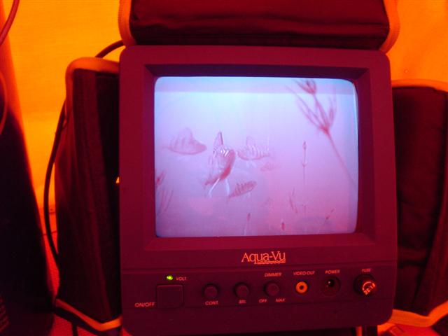 DSC03663 (Small).JPG