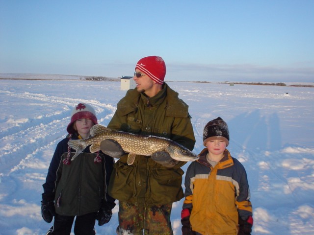 A nice size Northern Pike. We let it go. It wasn't hooked bad so it's going to go make babies ;)