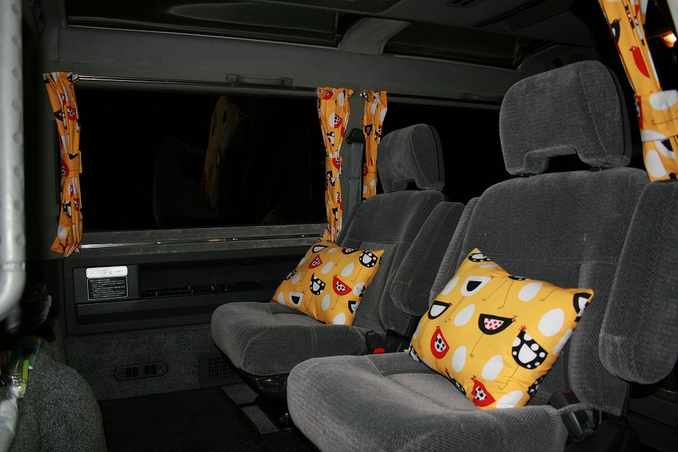 delicurtains3.JPG