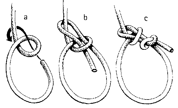 bowline.gif