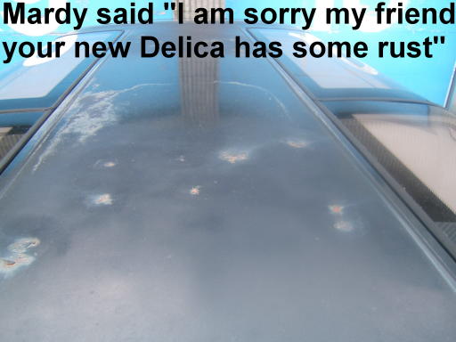 Delica 1.JPG