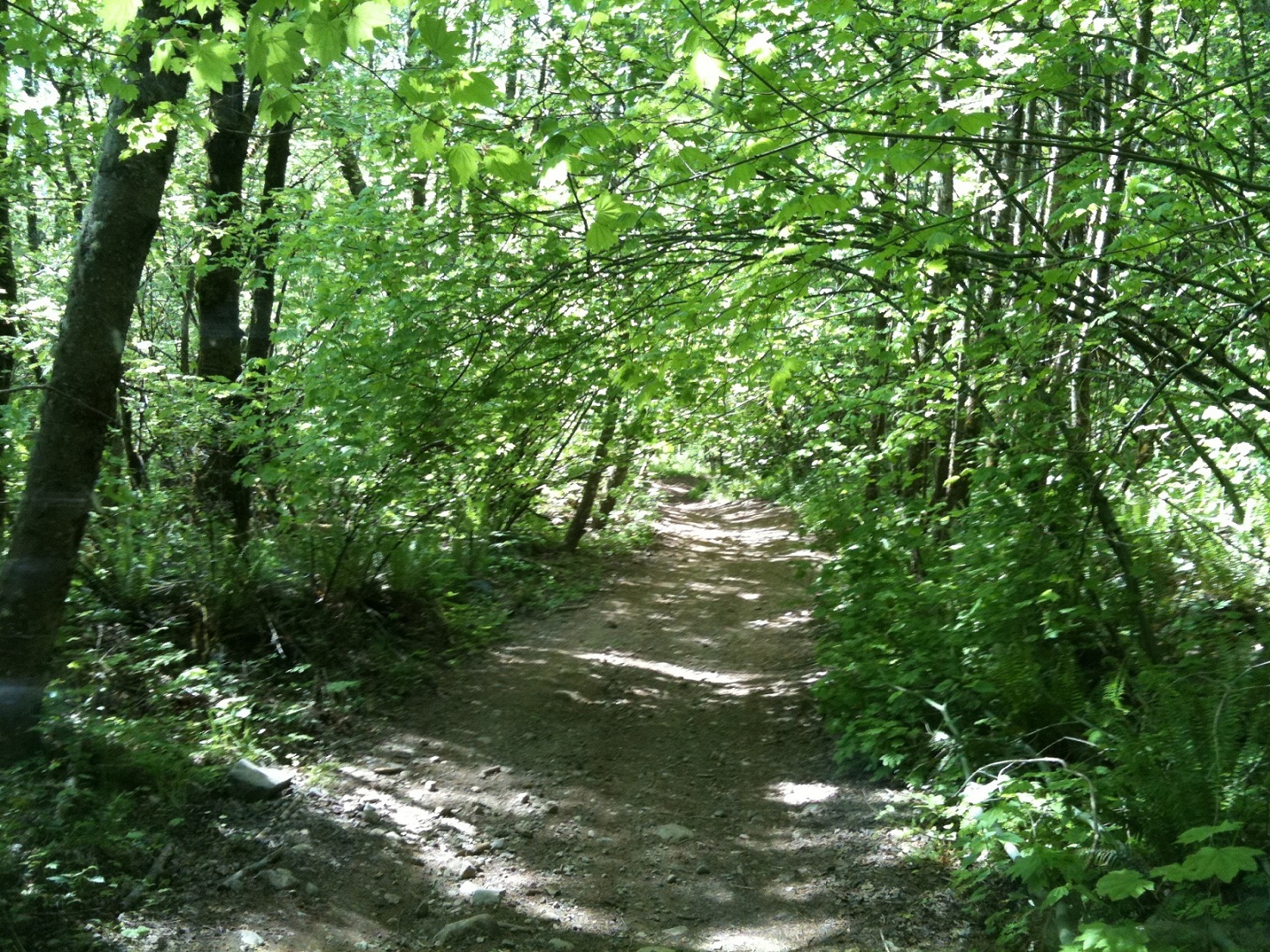 Yes there was mud, but there were some pretty bits too...