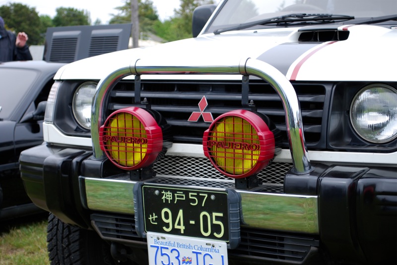 With newly painted fog lamp grilles