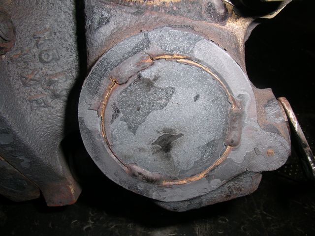 IMGP7298.jpg