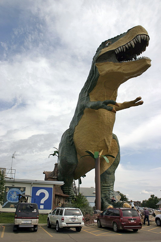 IMG_9010_resize.JPG