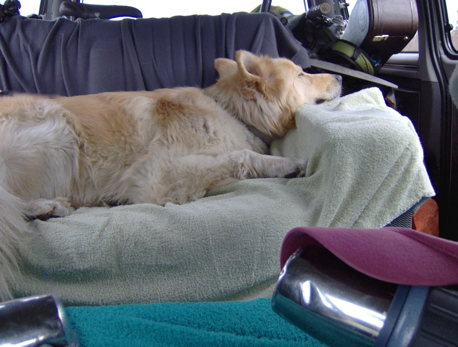 &quot;Don't wake me up until we get there!&quot;