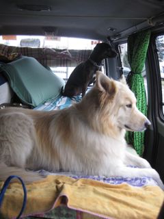 IMG_2994.jpg