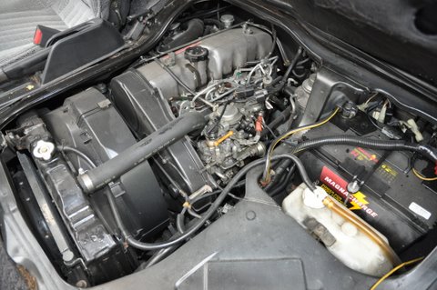 DSC_0239sm.JPG