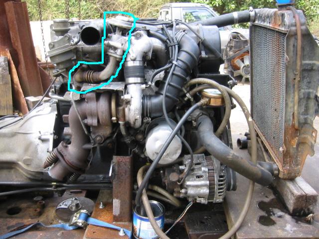 Raising Mitsu 002.jpg