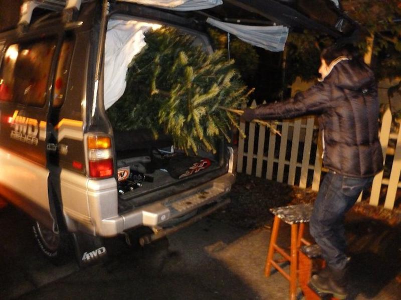 Getting the Christmas tree out in the evening after work