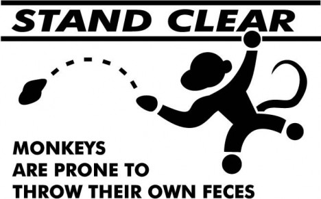 monkeys_fling_poo1.jpg