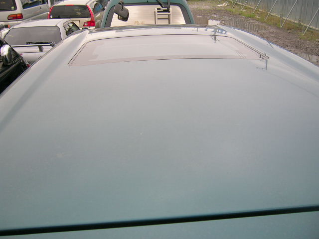 DSCN3703.JPG