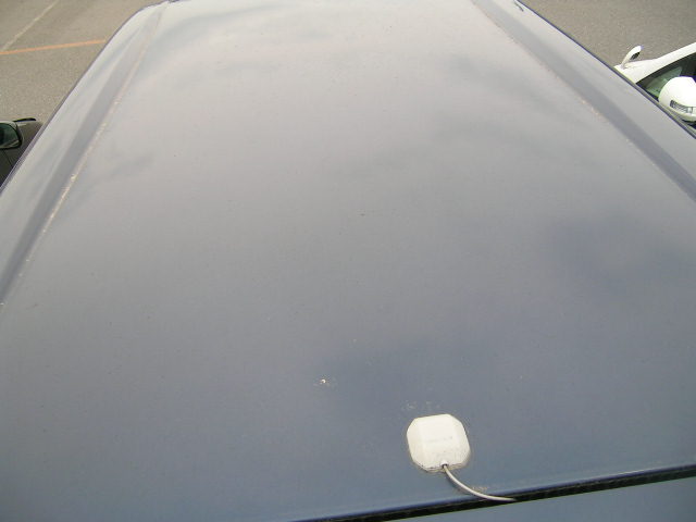 DSCN3652.JPG
