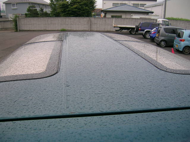 DSCN4049.JPG