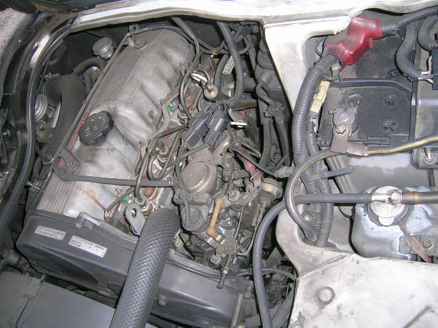 DSCN6560.JPG