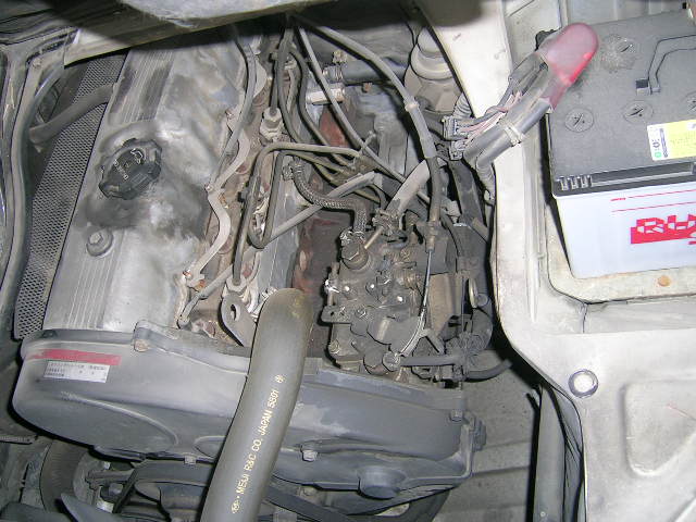 DSCN6531.JPG