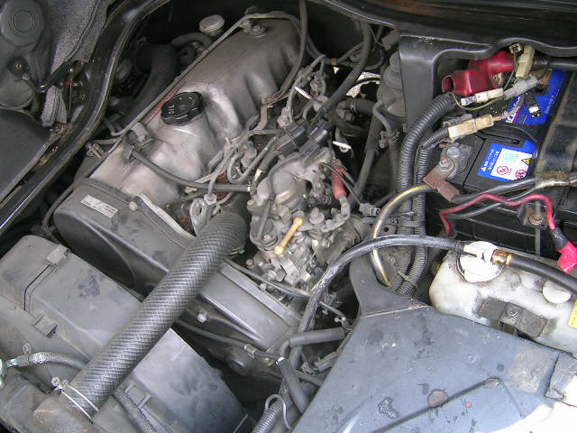 DSCN6751.JPG