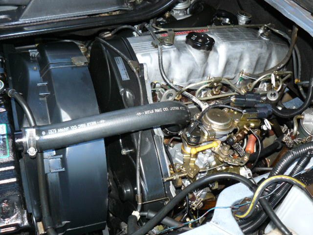 P1030227.JPG