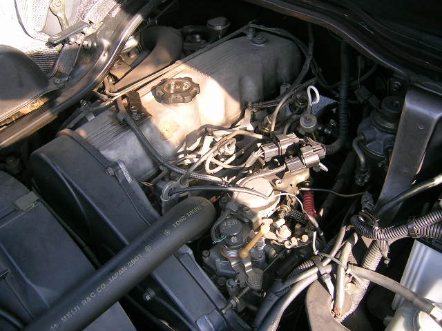 DSCN5227.JPG