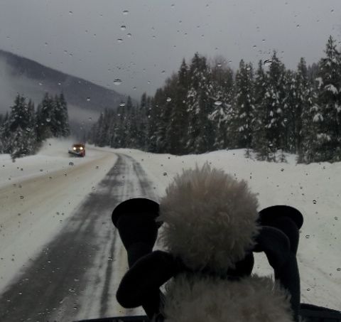 hwy 3 2015 snow 1.jpg