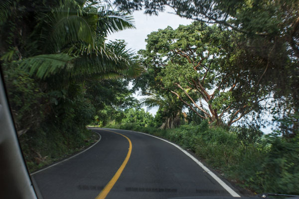 Tropical road.jpg