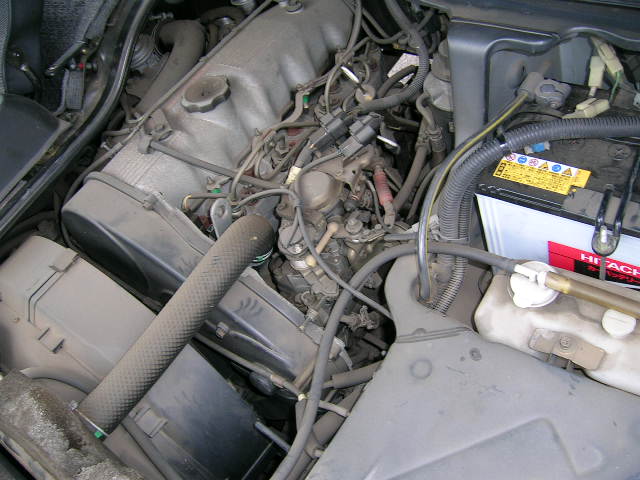 DSCN7545.JPG