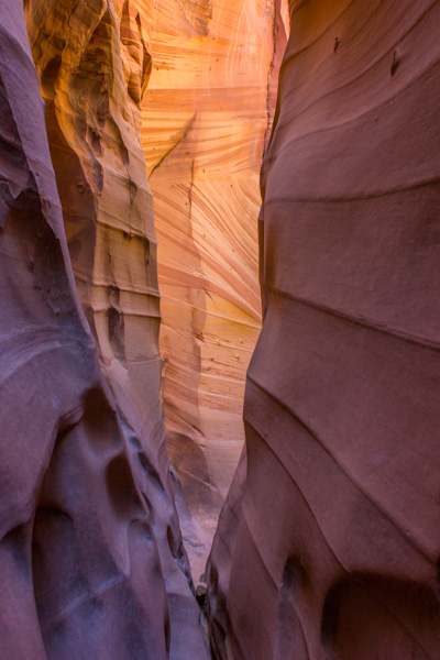 zebra slot, Utah