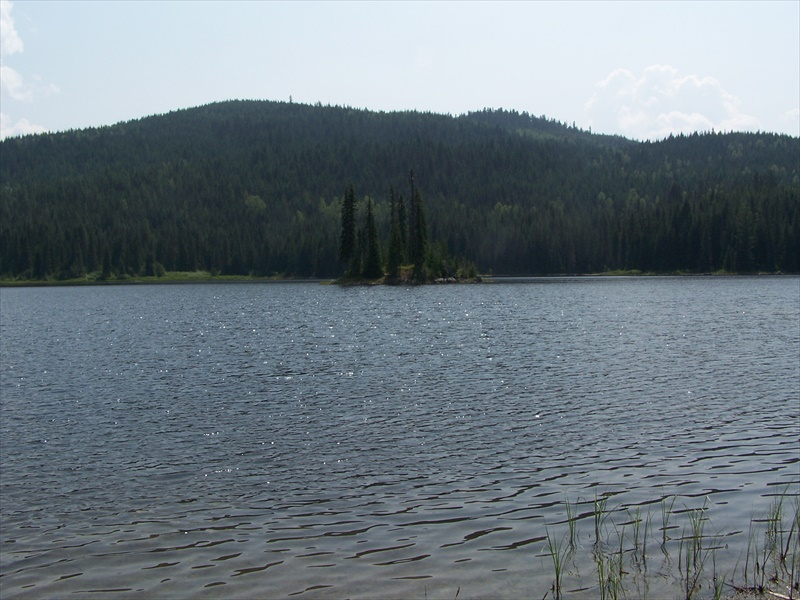 Lake view showing the Island