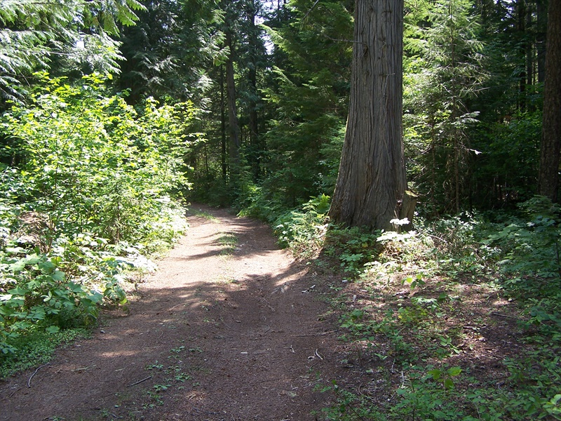 Narrow road to LarsonLake