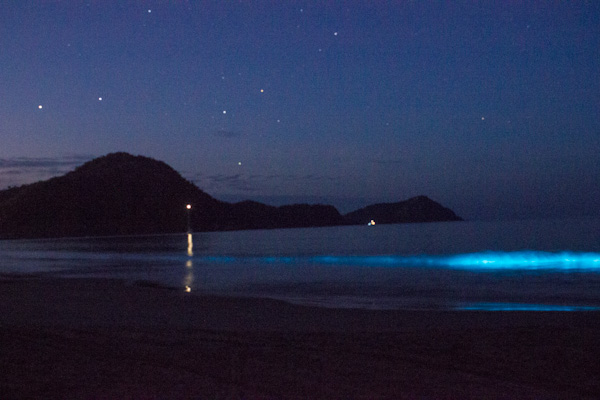 Biolume and Southern Cross