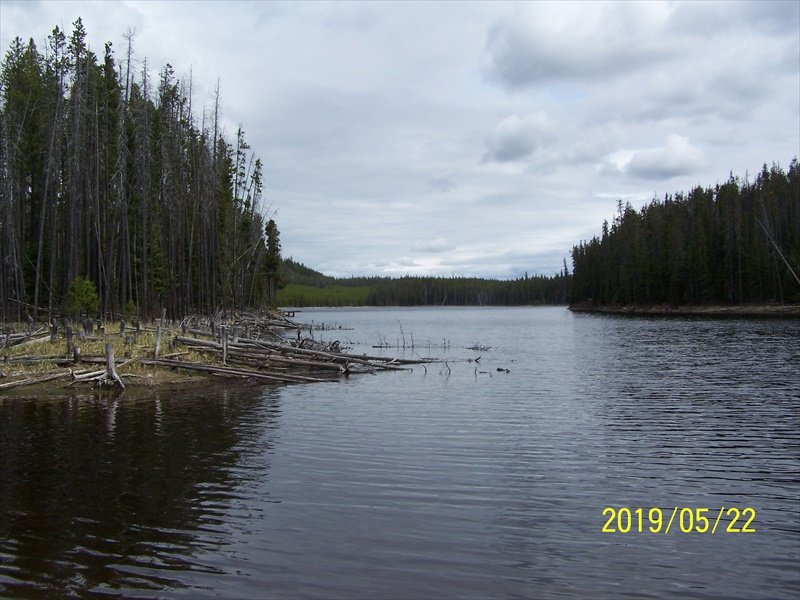 Allendale Lake ( Sorry no sign )