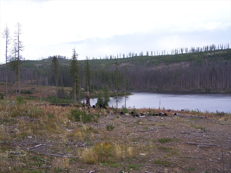 View of Nevertouch Lake