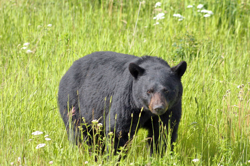 Big Brother is watching us.