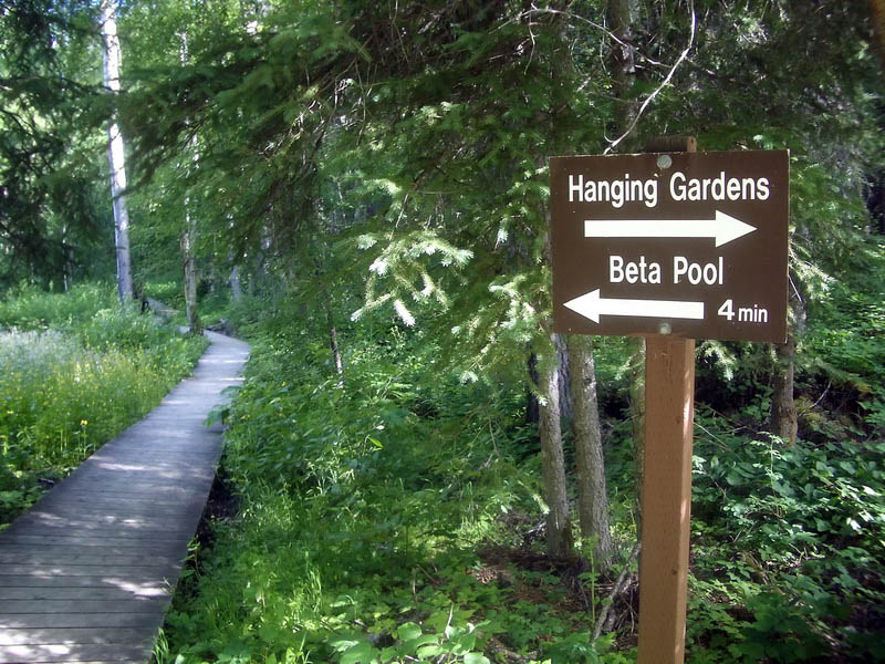 Liard River Hot Springs.