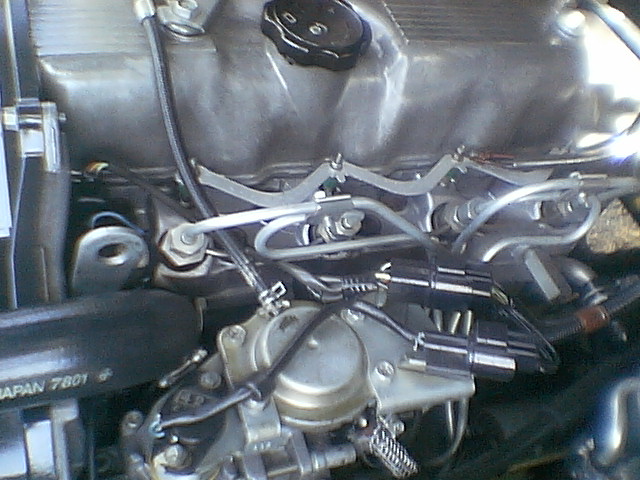 IMGA7756.JPG