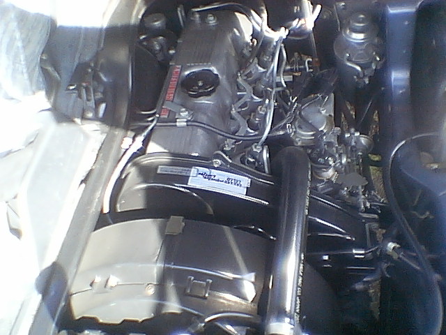 IMGA7755.JPG