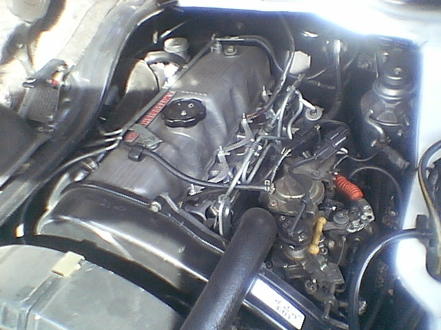 IMGA7762.JPG
