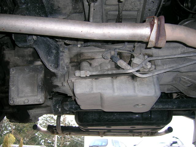 DSCN9981.JPG