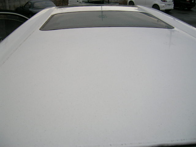 DSCN0412.JPG