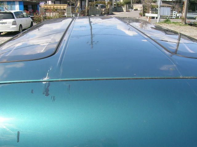 DSCN0924.JPG
