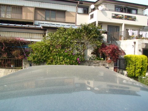 DSC01243.JPG