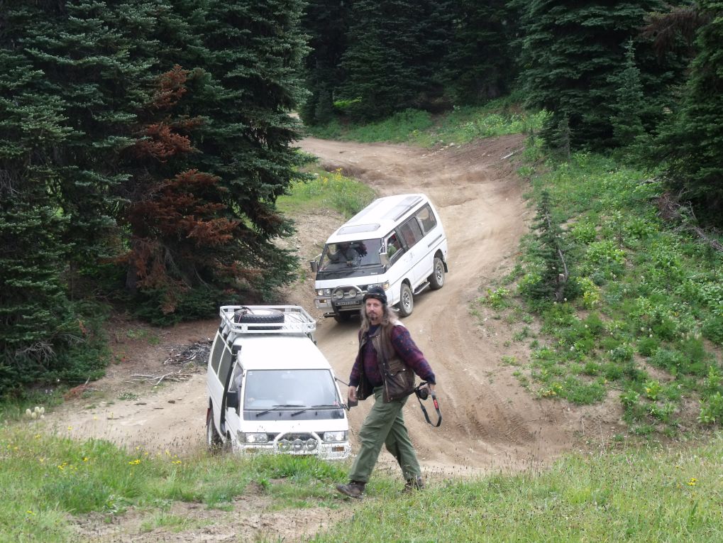Whipsaw 12.jpg