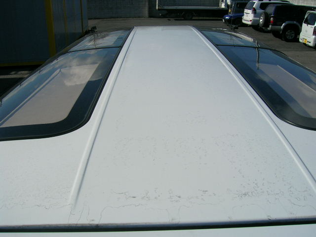 DSCN2603.JPG